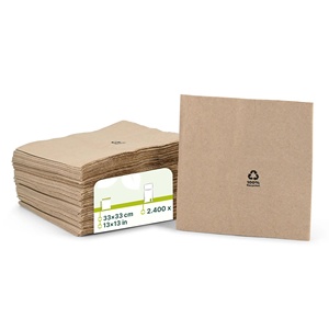 Servilletas de Papel Ecológicas, 33x33cm, 2 Capas, Plegado 1/4, Sin Blanquear, Desechables y Ecológicas - Product Image 1