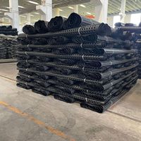 Planche de drainage en HDPE imperméable de style industriel Shengxing, membrane à cellules en relief pour le drainage de l'eau, tapis de drainage en plastique 5+