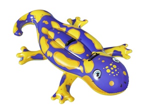 <span class=keywords><strong>Bestway</strong></span> 2025 nuovo 41502 salamandra Splashin famiglia piscina per bambini galleggianti a tubo di nuoto galleggianti gonfiabili per nuoto - Product Image 3