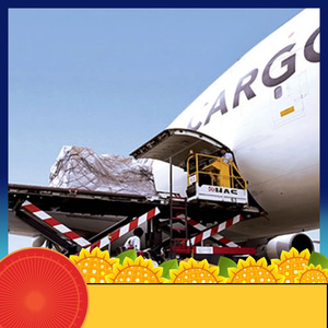 Service d'expédition porte-à-porte par voie maritime et aérienne LCL FCL Ruixiang Africa Line, logistique et commerce en Afrique - Product Image 2