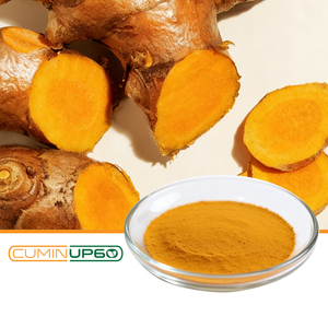 CuminUP60 Extracto de Raíz de Cúrcuma en Polvo con Alto Contenido de Curcumina Soluble en Agua, Certificado Halal, Envasado al Vacío, Probado por <span class=keywords><strong>HPLC</strong></span> - Product Image 4