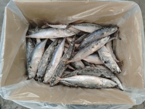 Camarones Congelados 200-250g, Pesca Salvaje <span class=keywords><strong>de</strong></span> Aguas Profundas, Nutrición Completa, <span class=keywords><strong>Mariscos</strong></span> - Product Image 1