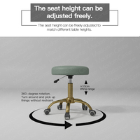 Madamcenter Chaise de travail ergonomique esthétique à roulettes Tabouret cosmétique pour dentiste Bureau Coiffeur Chaise de selle pliable