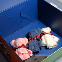 Boîtes à poupées magnétiques personnalisées avec logo, pelliculage brillant, emballage en carton de luxe pour jouets d'enfants, ours en peluche, cadeau souvenir pour bébé