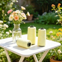 Fil à coudre 100% Para Aramid 1414, filé en filament, haute ténacité, résistant aux flammes et aux coupures