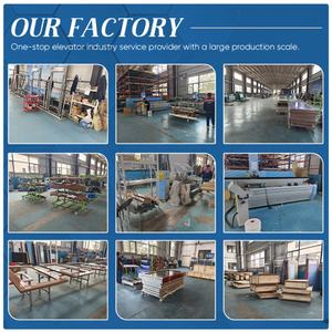 Ascensori Domestici Moderni di Piccole Dimensioni con Qualità Superiore, Asse Cielo-Terra, Porta Azionata Manualmente, Ultimo Stile - Product Image 6