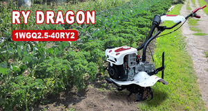 Máy kéo mini trang trại tu nhỏ weeders Xăng ROTARY tillers dụng cụ làm vườn Máy phay - Product Image 6