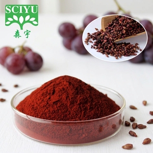 Poudre d'extrait <span class=keywords><strong>de</strong></span> pépins <span class=keywords><strong>de</strong></span> raisin 95% OPC pour ingrédients alimentaires Extrait <span class=keywords><strong>de</strong></span> curcuma - Product Image 2