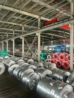 Bande de nickel Hastelloy G-30 directement de l'usine, UNS N06030, bandes de métal nickelé
