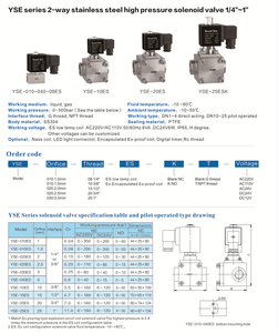 โซลินอยด์แรงดันสูง YSE-020 0-300 บาร์ - Product Image 1