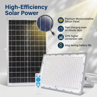 Reflector LED Solar para Exteriores, Impermeable, de Aluminio, 50W 100W 200W 300W 500W, Clasificación IP65, para Iluminación de Jardines y Calles