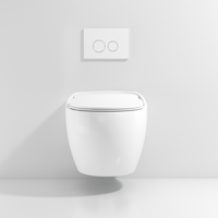 Ensemble de toilettes en céramique, nouveau design 2022-2023, couleurs variées, sanitaire, à vendre