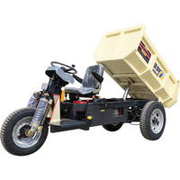 Elektrischer Mini-Dumper/LK160 Motorisiertes Dreirad/3-Rad-Elektro-LKW/Bergbau-Dumper