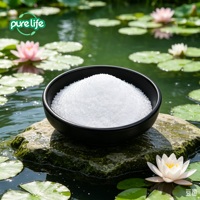 Poudre de L-Carnitine Tartrate 99% CAS 36687-82-8 Qualité Alimentaire Complément Alimentaire pour le Métabolisme des Graisses et le Soutien Énergétique