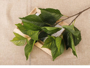 ใบไม้ประ<span class=keywords><strong>ด</strong></span>ิษฐ์ไฮเดรนเยีย ขนาด 72.5 ซม. ใบไม้ปลอ<span class=keywords><strong>ม</strong></span>เห<span class=keywords><strong>ม</strong></span>ือนจริง ให้ควา<span class=keywords><strong>ม</strong></span>รู้สึกเห<span class=keywords><strong>ม</strong></span>ือนมีชีวิต พร้อ<span class=keywords><strong>ม</strong></span>การปกปิดที่กว้างขวาง เห<span class=keywords><strong>ม</strong></span>าะสำหรับตกแต่งบ้านและพื้นที่เชิงพาณิชย์ - Product Image 2