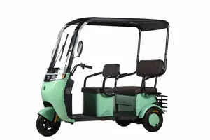 Venda quente 48V 20Ah Triciclo elétrico de aço carbono Scooter de 3 rodas 500W de potência com certificação CEE