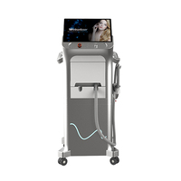 Expédition mondiale DHL, machine d'épilation au laser diode permanente non cristalline 3000W, approuvée 510K MDR