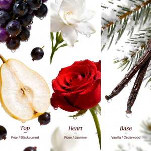 <span class=keywords><strong>Perfume</strong></span> Floral Frutal O.TWO.O Love Whisp-er para Mujer, Larga Duración, 25 ml, Aroma Elegante, Pera, Rosa, Jazmín, Vainilla - Product Image 4