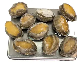 Hot sale fresh seafood IQF frozen seafood wholesale with shell abalone