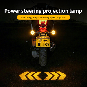 Feux de signalisation LED pour moto, projecteur lumineux coloré, clignotants séquentiels en forme de flèche d'aigle - Product Image 4