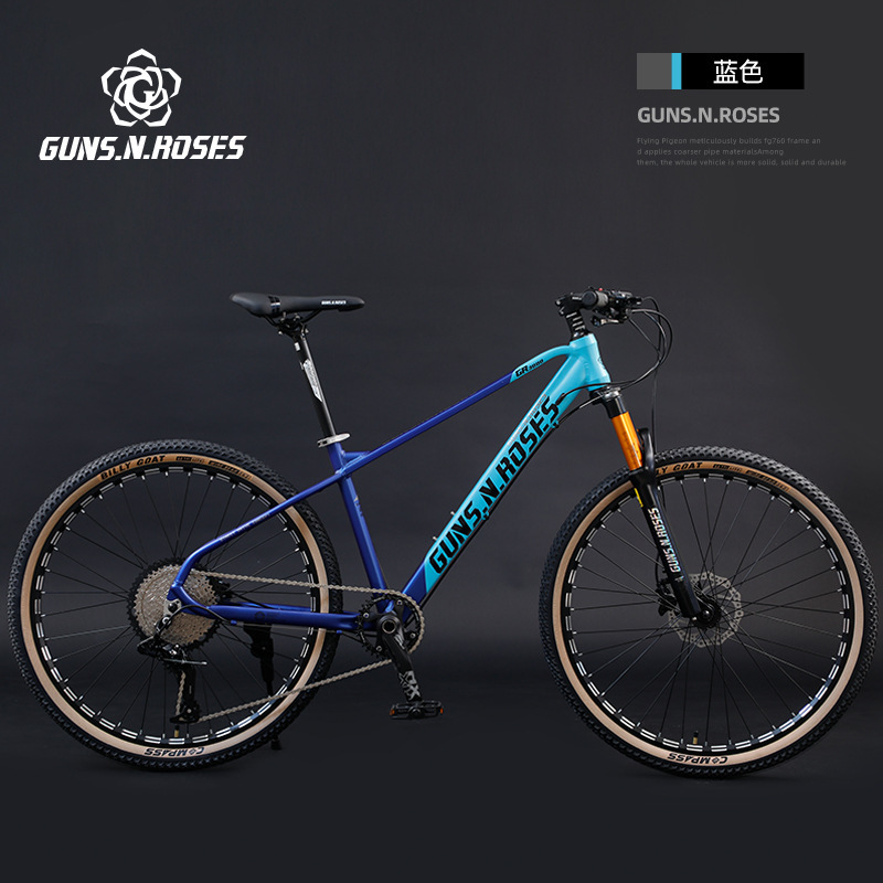 Blue magnesium alloy front fork, 12-speed