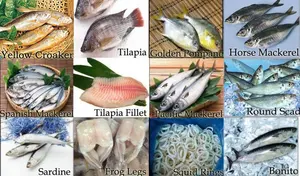 냉동 해산물 도매 냉동 틸라피아 필렛 물고기 틸라피아 구매자
