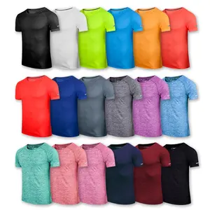 Manufacture Custom Logo 100% Polyester Multi Color Plus Size Tshirts Unisex Plain Tshirt Mens Gym Wear