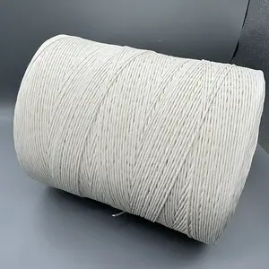 Wholesale White Paper Rope 3mm Kraft Twisted Rope 4mm Twisted Paper Rope for hand tag paper handles crafts