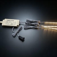 Strip Lampu 3000K 4000K 6000K dengan Sakelar Sensor Gerak PIR 12V24V dan Adaptor Daya 110V 220V untuk Kabinet/Lemari Pakaian Colokan EU/US