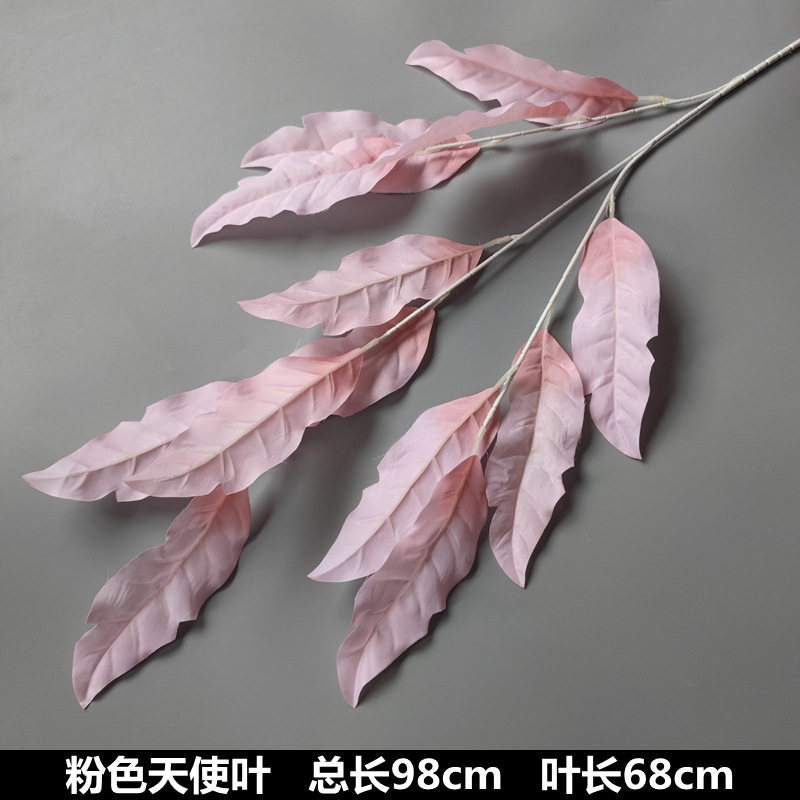 Feuille d'ange
