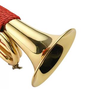 Trompeta de latón de tamaño pequeño en <span class=keywords><strong>llave</strong></span> en D plana para el rendimiento de la práctica de los niños Paso ajustable Instrumento de calidad genuina - Product Image 5