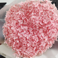 Fleurs de mariage bordeaux, grande fleur d'hortensia à feuille unique préservée pour fournitures de fleuristes