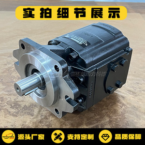 Pompe hydraulique verticale à engrenages droite KP40.151D0 34S8 LMG ME N en fonte pour machines hydrauliques domestiques - Product Image 5