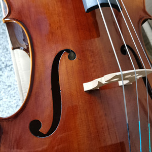 צ'לו סטודנטיאלי Yashi YSC002-A 4/4 איכותי בעבודת יד, עם פלטה מעץ אשוח מלא וגב/צדדים מעץ מייפל, במחיר זול לסיטונאות - Product Image 5