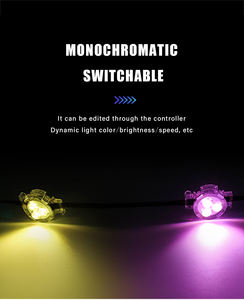 Luces LED de Punto SHIJI, Gran Venta, IP68, 24V, Permanentes, para Navidad, Iluminación Exterior, 30mm, LED SMD5050 RGBW, Luces de Punto Pixel - Product Image 5