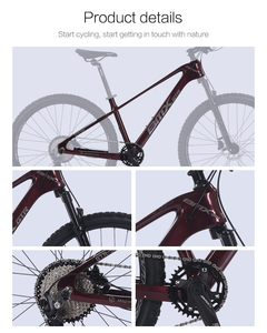 Bicicleta de Montaña con Marco de Aleación de Magnesio, Llanta 2.35, Mejor Oferta, 26, 27.5, 29 Pulgadas, Freno de Disco, 11 Velocidades, para Hombre - Product Image 5