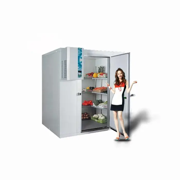 Промышленная холодильная установка с морозильной камерой, 20 футов