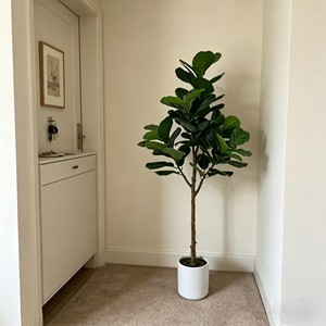 <b>Artificial</b> <b>Tree</b> Green Potted with Piano Leaf Banyan Ornaments for Living Room Floor Simulation - Product Image 5