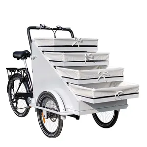 OEM移动3轮货运自行车电动自动售货三轮车食品车三轮车自动售货自行车出厂价格250瓦电机