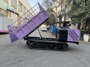 Mini-dumper chenillé diesel hydraulique 5T pour le transport de charges lourdes à vendre - Product Image 3