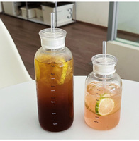 Fournisseur de gros Tasse minimaliste à boire avec paille en verre avec marqueur de temps Bouteille d'eau isolée en verre