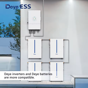 Deye RW-M6.1-B Lithium Batterij Power Wall Batterij 51.2V 120ah 6.1kwh Voor Thuisgebruik - Product Image 6