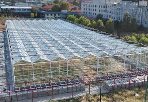 Hoch effizientes Hydroponik-Gewächshaus mit Polycarbonat blech und Stahlrahmen-Sonder größen für die gewerbliche Landwirtschaft - Product Image 4