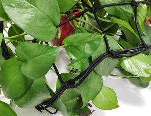 Đàn hồi thực vật <span class=keywords><strong>Net</strong></span> linh hoạt hydroponics hỗ trợ cho phát triển lều, làm vườn, và làm vườn từ nhà máy - Product Image 4
