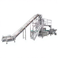 Machine de remplissage automatique industrielle LWT à haute efficacité pour emballages solides avec emballage métallique/plastique pour ligne de mise en conserve de cubes de viande