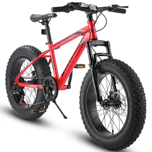 Bicicleta de Montaña de neumáticos anchos para jóvenes, bici de 20 pulgadas, Shimano completo, 7 velocidades, freno de disco Dual, marco de acero de alto carbono, suspensión delantera