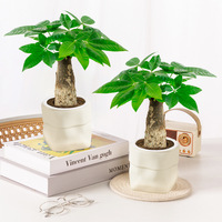 Meixuan Lucky Bag, style simple, pot de fleurs auto-arrosant en PE résistant à la corrosion et translucide, pour culture hydroponique ou en terre
