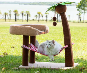 New Style <span class=keywords><strong>Cat</strong></span> Scratching Post <span class=keywords><strong>Cat</strong></span> Scratcher Post mit Katzen bett Stuhl Sisal Rope Scratching Post mit <span class=keywords><strong>Lounge</strong></span> - Product Image 4