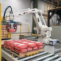 Leadworld Machine d'emballage de palettiseur robotique automatique Ligne d'emballage de granulés de bois Machine à palettes en bois fournie