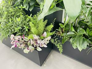 <span class=keywords><strong>Pot</strong></span> de fleurs en aluminium pour la décoration extérieure de la maison, jardin, assemblage en métal, grande taille - Product Image 6